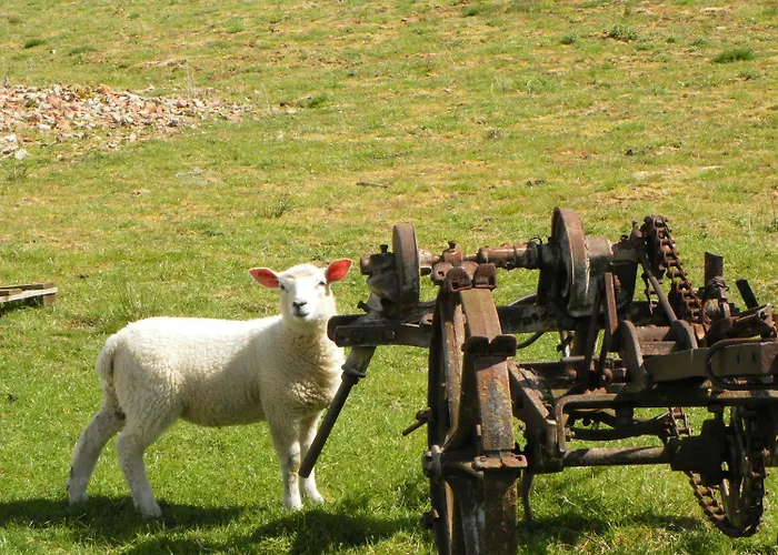 Hébergement de vacances Little Byre